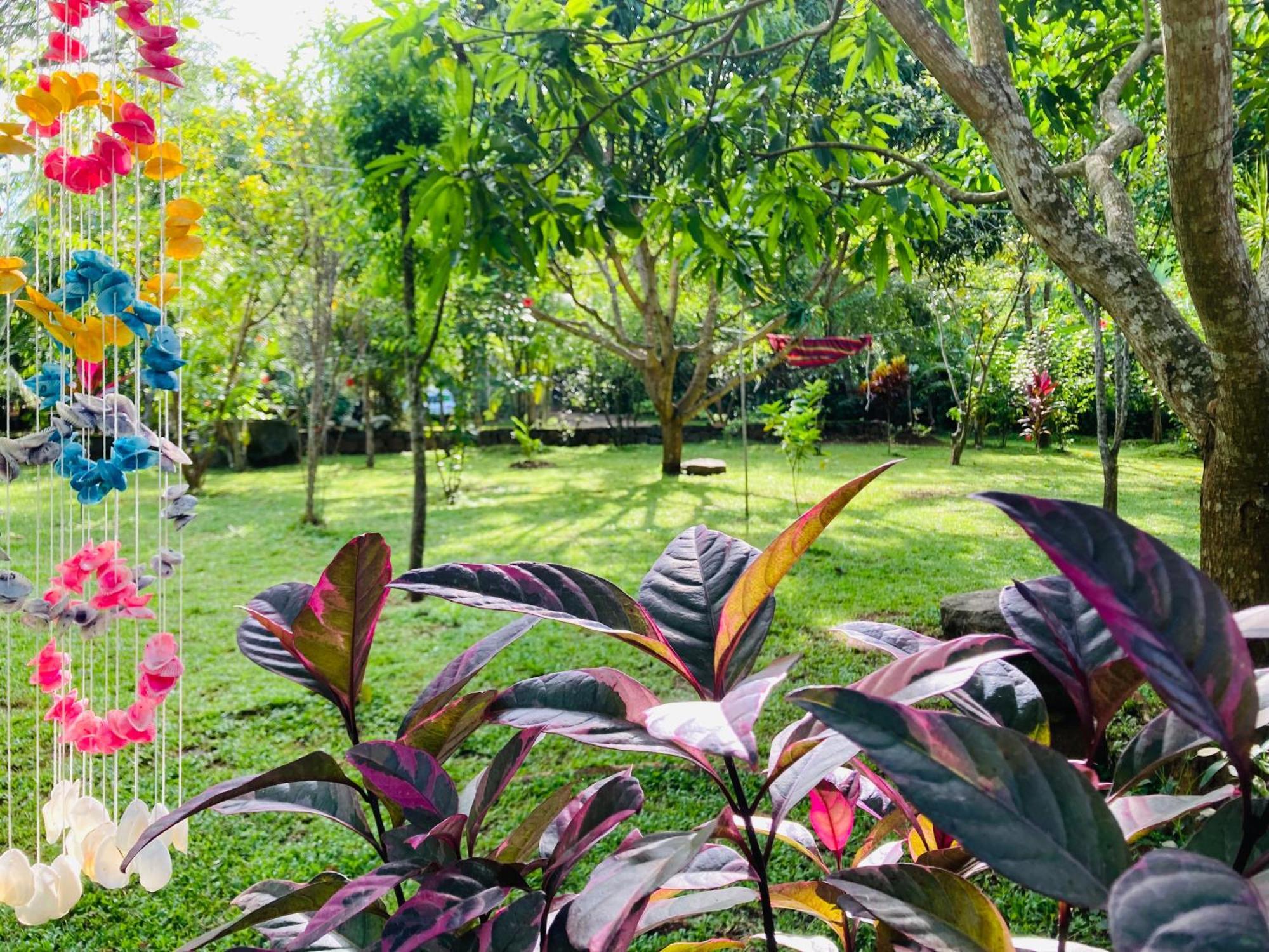 Suncity Privacy Cottages Udawalawe Zewnętrze zdjęcie